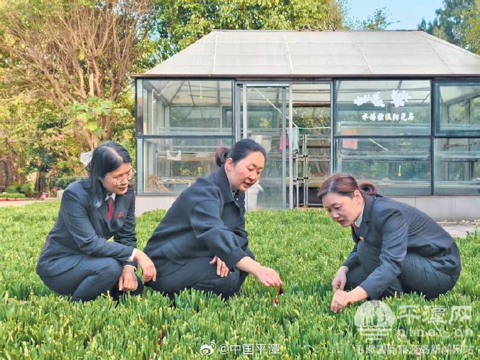【平潭法院探索海岛特色知识产权保护新路径】