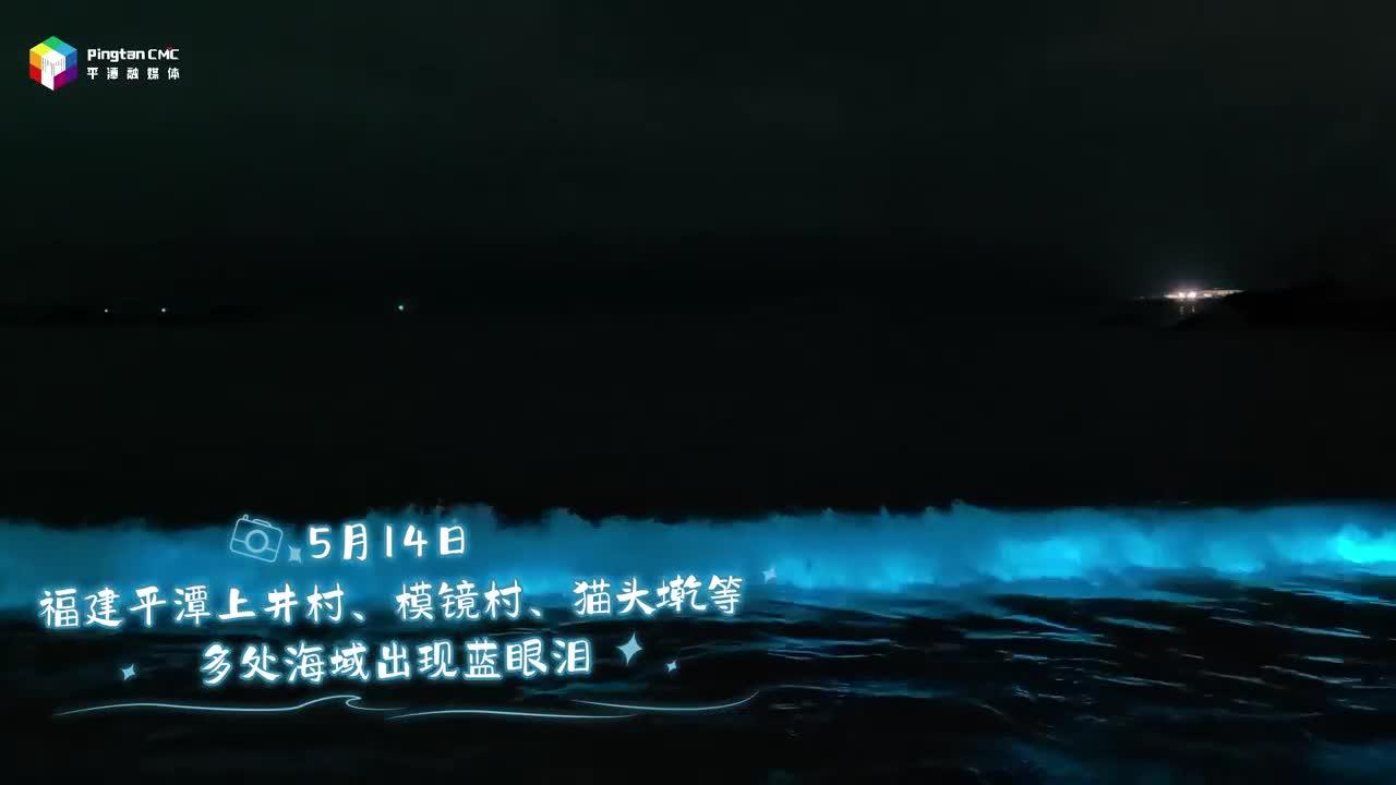 平潭多处海域出现蓝眼泪