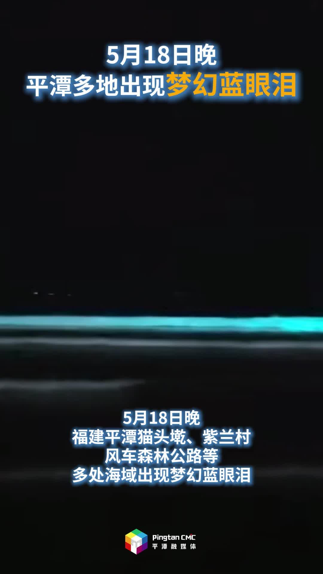 平潭多处海域出现梦幻蓝眼泪