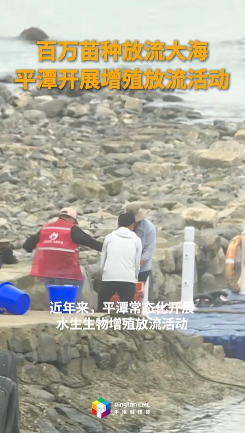 百万苗种放流大海！平潭开展增殖放流活动