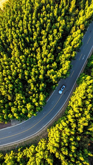 迷  马  线  路